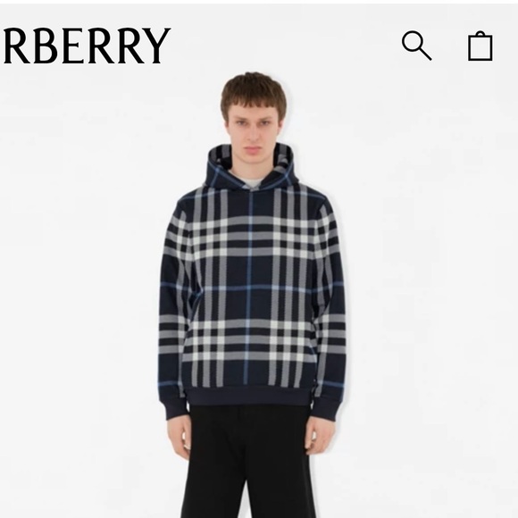 Burberry Check Cotton Hoodie in Blue and White. - Picture 2 of 10